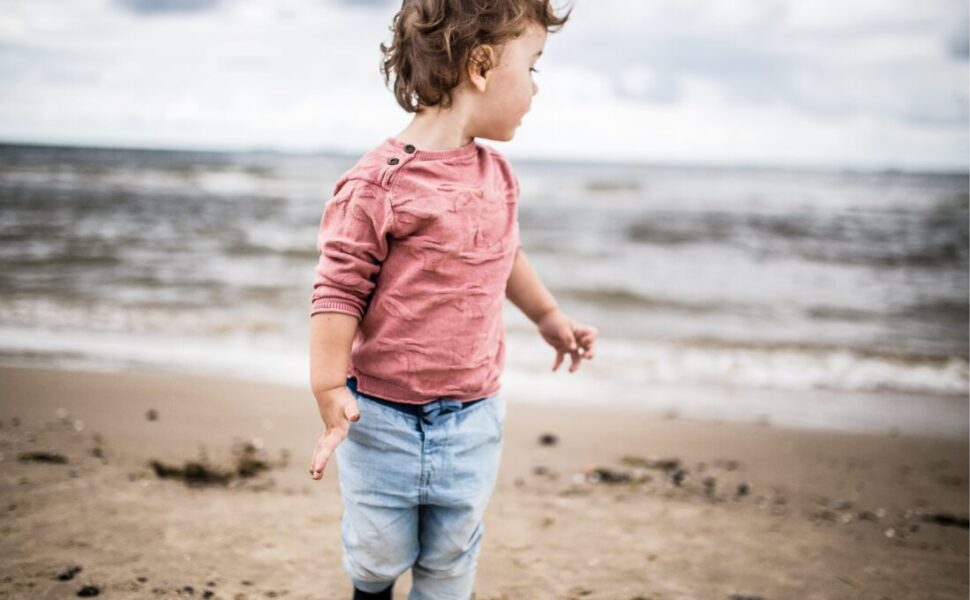 2023年2月12日(日)第86回調べるビーチクリーン＠辻堂海岸