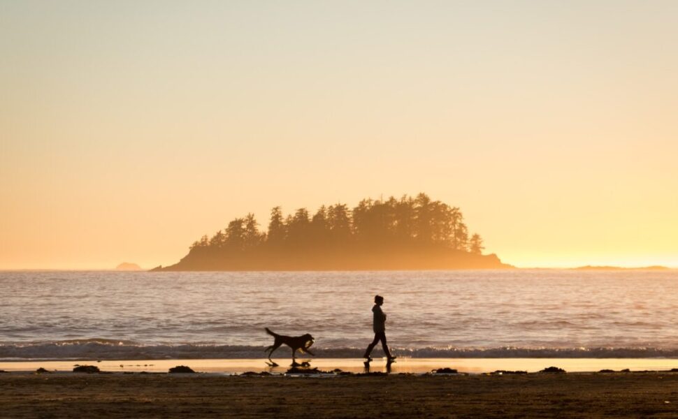 2023年10月ｰ11月 かながわ海岸150㎞ビーチクリーン駅伝2023