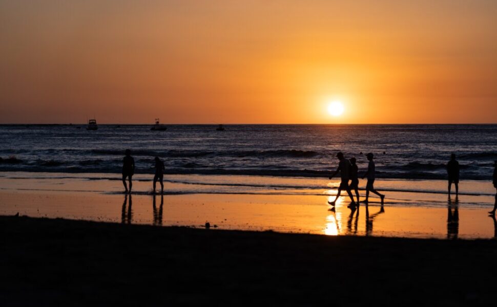 2023年11月19日(日)第95回調べるビーチクリーン@辻堂海岸