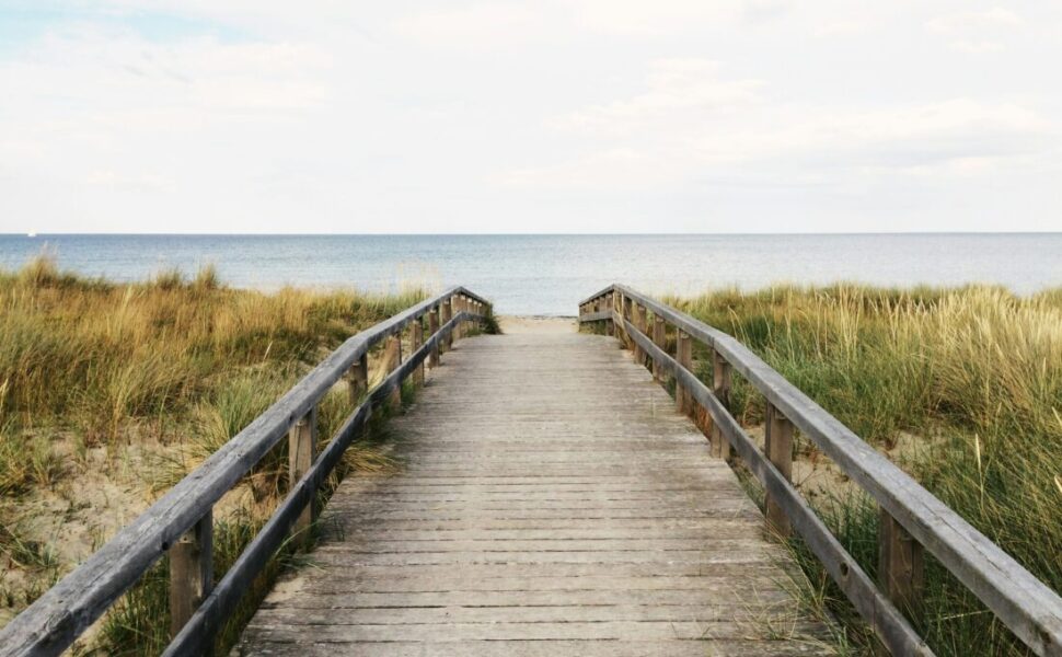 2025年2月9日(日)第110回調べるビーチクリーン@辻堂海岸