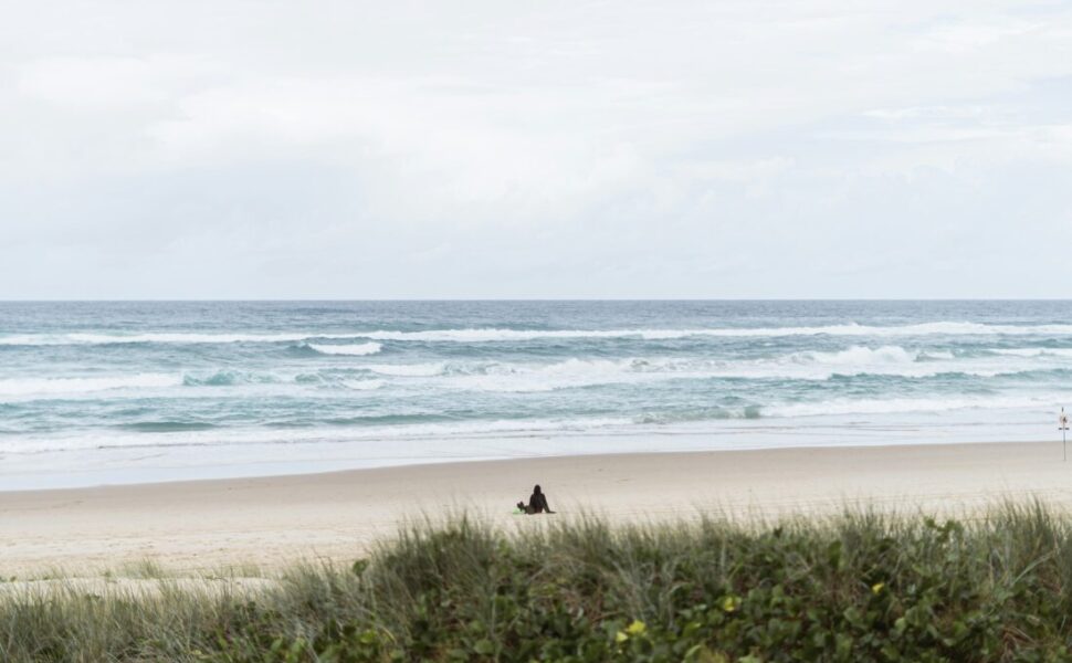 2025年12月14日(日)第120回調べるビーチクリーン@辻堂海岸