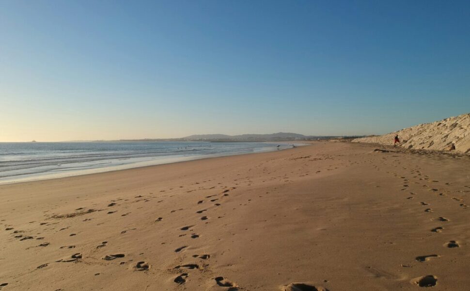 2026年4月11日(土)第124回調べるビーチクリーン@辻堂海岸