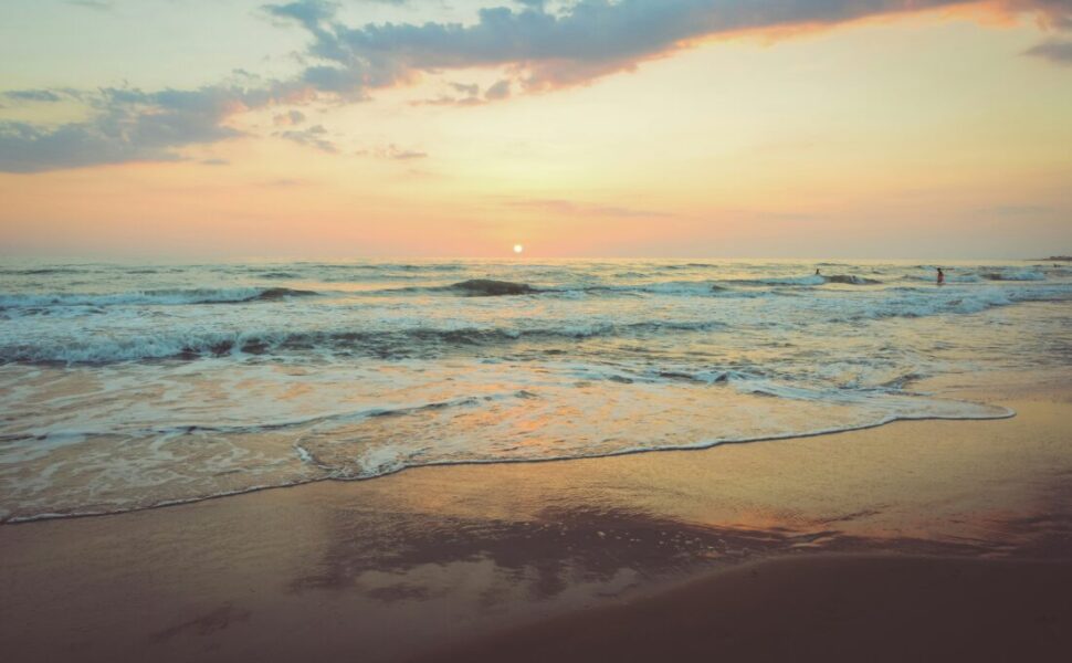 【募集】2026年6月7日(日)大岡川SUPクリーン2026